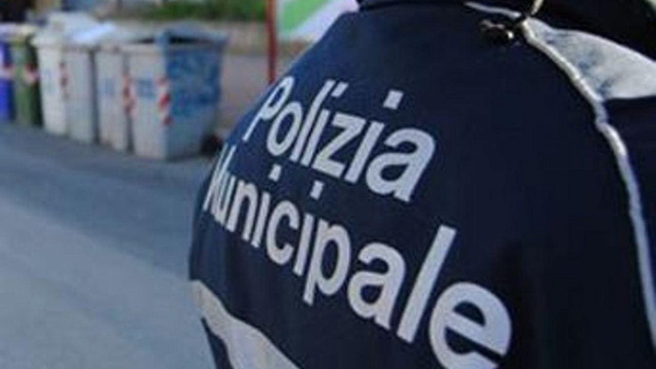 Sicilia: topo morto in un contenitore per alimenti ed escrementi a terra,  sequestrato locale